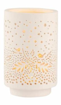 Rader-wonderlichtje-L- vogels