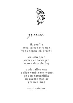 Little Universe - Maangedichten - set van 4