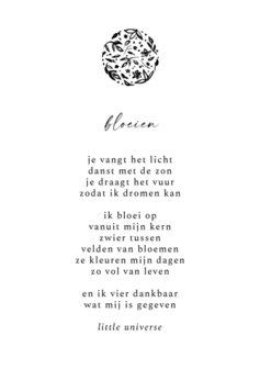 Little Universe - Maangedichten - set van 4
