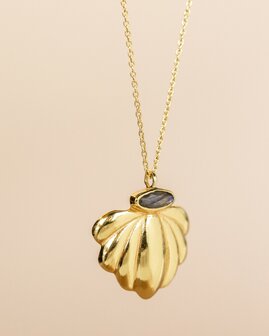 Muja Juma - Ketting - Verguld - Beetle - Labradoriet