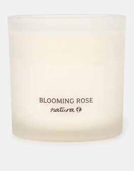 Natura - Scented Candle - Oasis - Roseplum