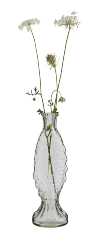 Madam Stoltz - Vaas - glas Vis