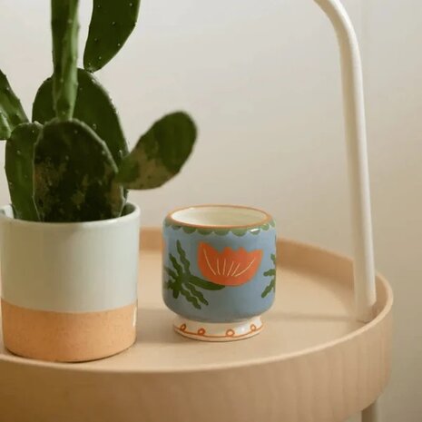 Paddywax - Geurkaars - Cactus Flower