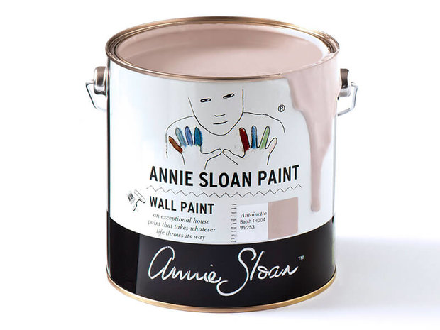 Annie Sloan Wall Paint Antoinette