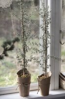 IB Laursen - Tree - Artificial cedar